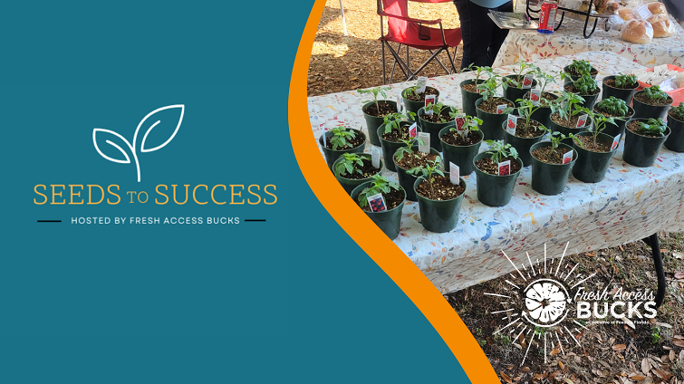 Planting the Seeds to Success