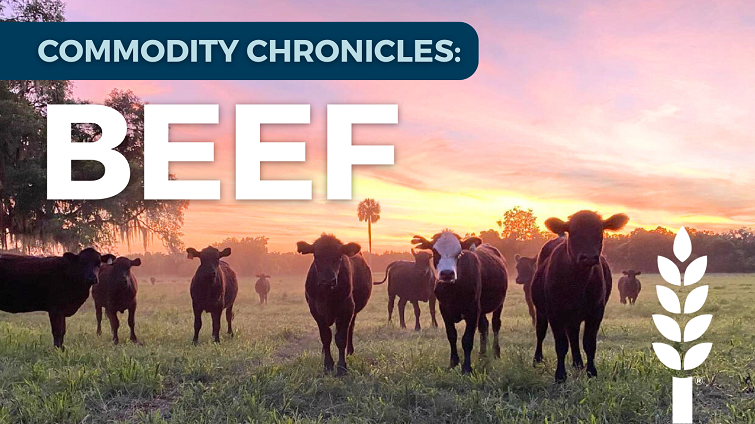 Commodity Chronicles: Beef