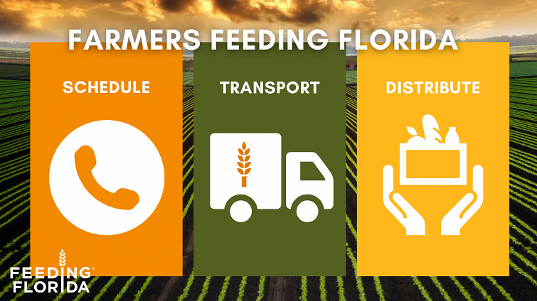 How Local Farmers Help Food Banks Feed Florida