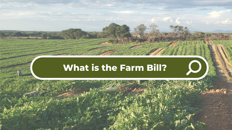 What is the Farm Bill?
