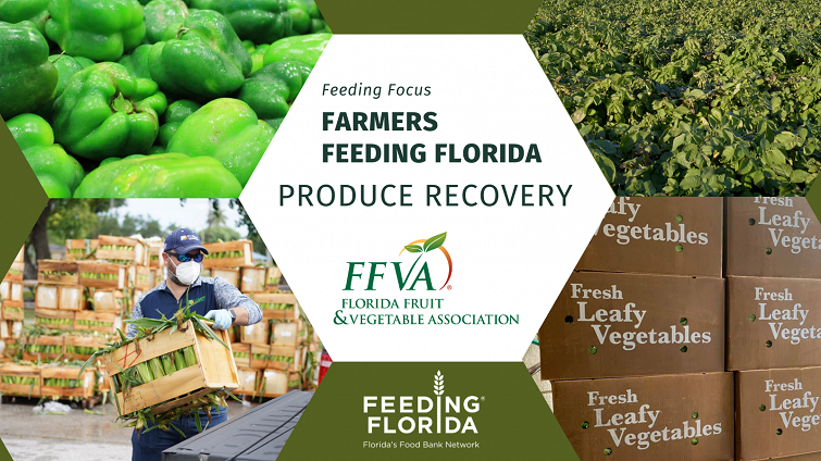 Get to know the Florida Fruit and Vegetable Association: Working with Farmers to Feed Florida