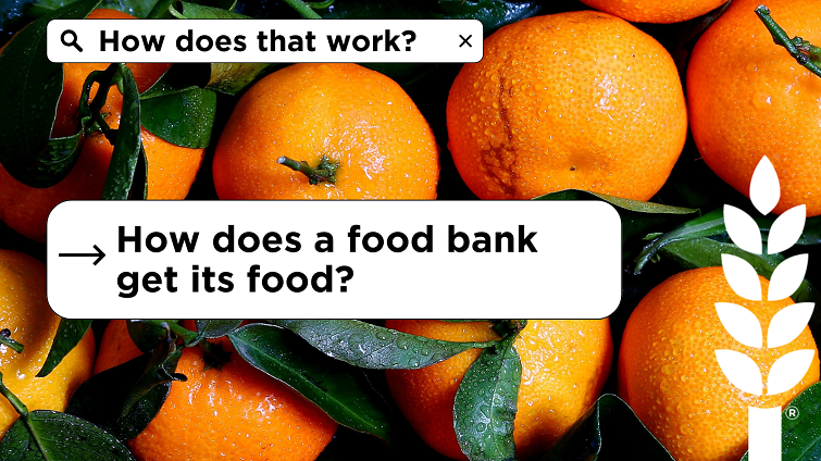 SERIES: How Does a Food Bank Get Food?