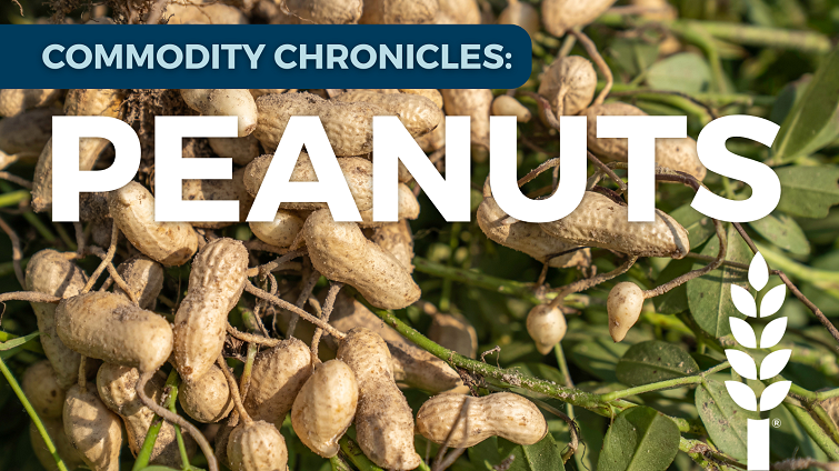 Commodity Chronicles: Peanuts