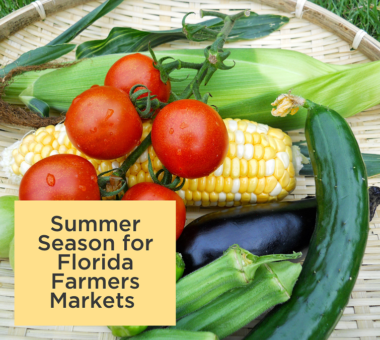 Summer Season for Farmers and Markets in Florida